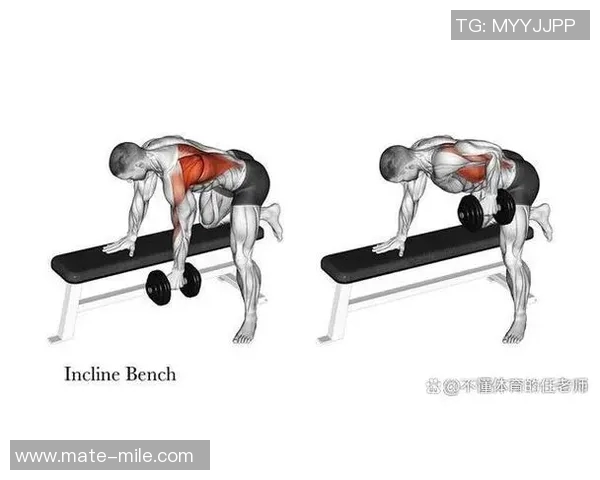 全面掌握哑铃教学技巧与训练方法助你塑造完美身材的指南